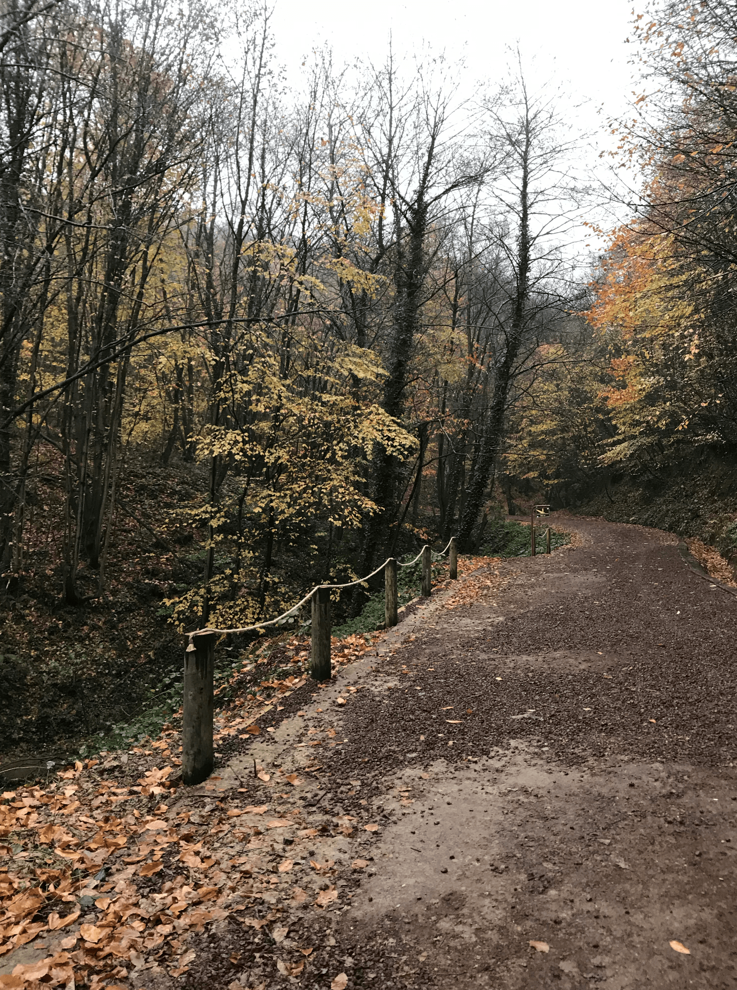 POLONEZKÖY TABİAT PARKI